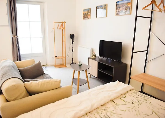 La Manutention 公寓 索米尔